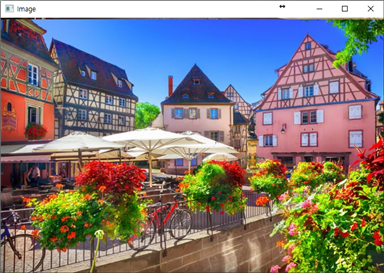 프로젝트이미지