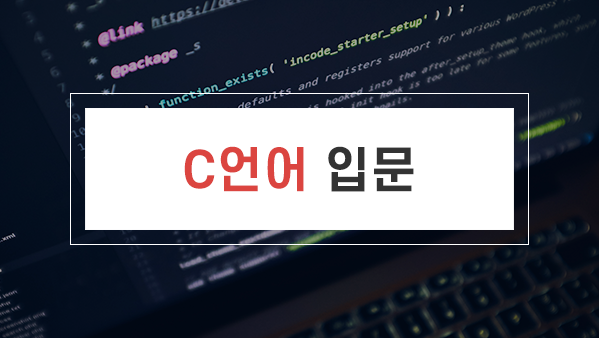 C언어 입문