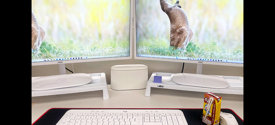 (산대특)_인공지능(AI)를 활용한 뷰티컨텐츠 광고영상 편집 양성과정_육성