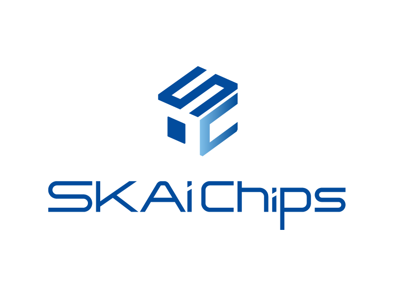 (주)스카이칩스